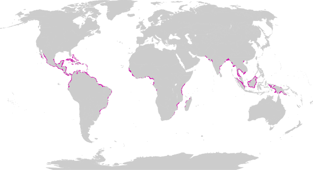 map_Mangrove