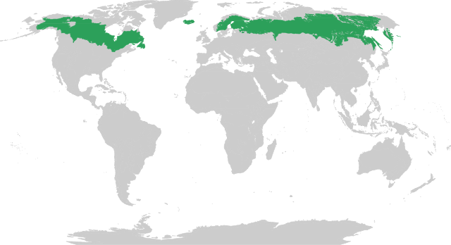 biome_map_Boreal_forests_(taiga)